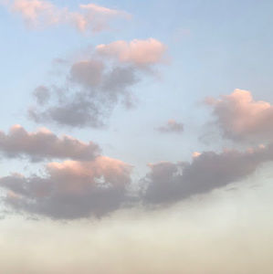 Meet your Posher, Amelia